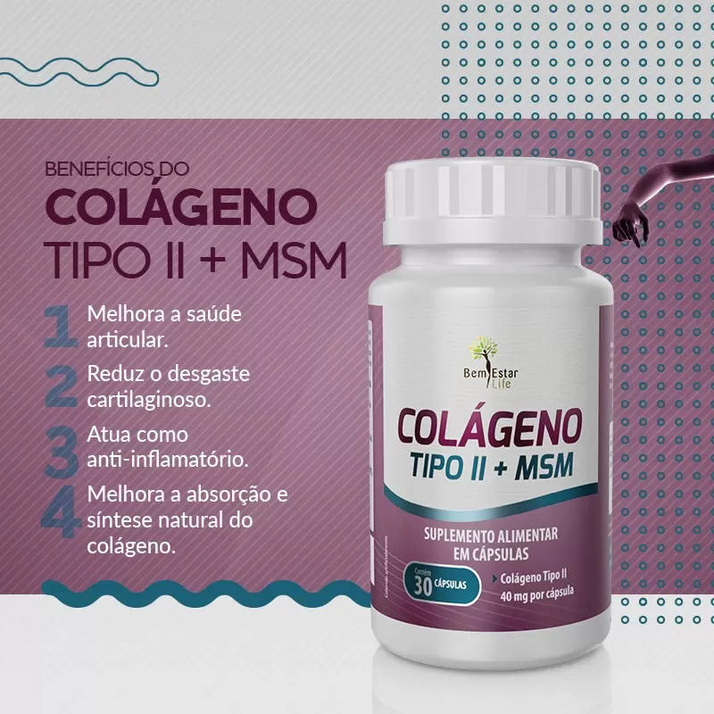 COLÁGENO  TIPO II + MSM